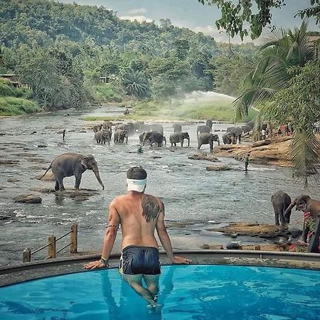 Hotel Elephant Bay Pinnawala  Eksteriør billede